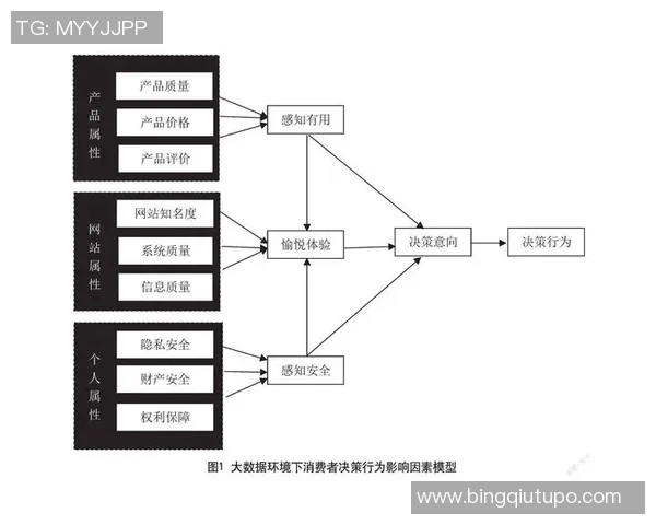 数据分析BLG的意识表现及其对决策制定的影响探讨