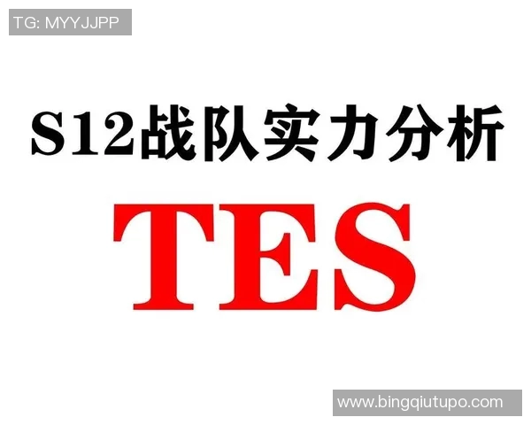 深入分析TES战队的控制打法与战术运用策略