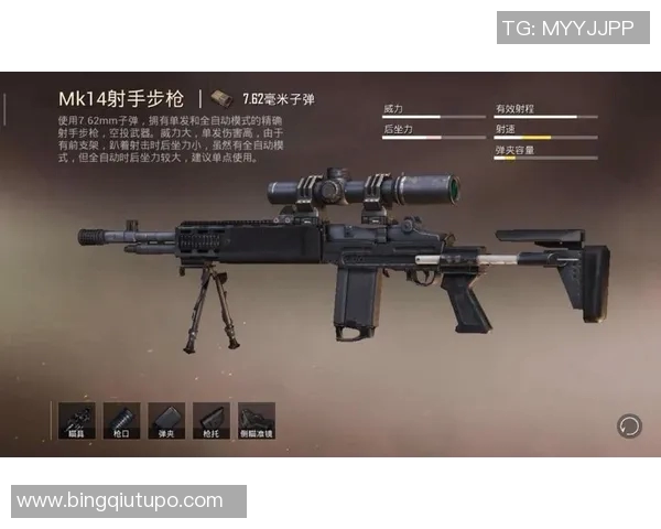 与赵秀英畅谈和平精英的成长历程与未来展望